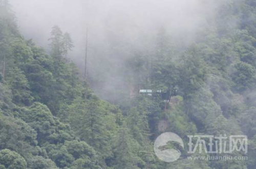 ��ӡ߅����ӡ܊���վ���[��ԭʼɭ������