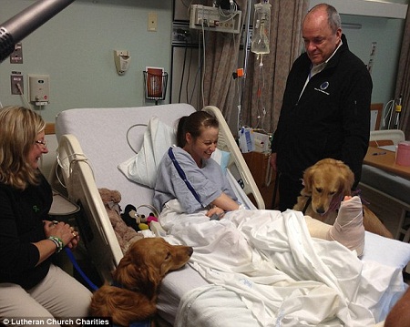 ��ëȮ�鲨ʿ�D��ը�����ߎ�ȥ�g��