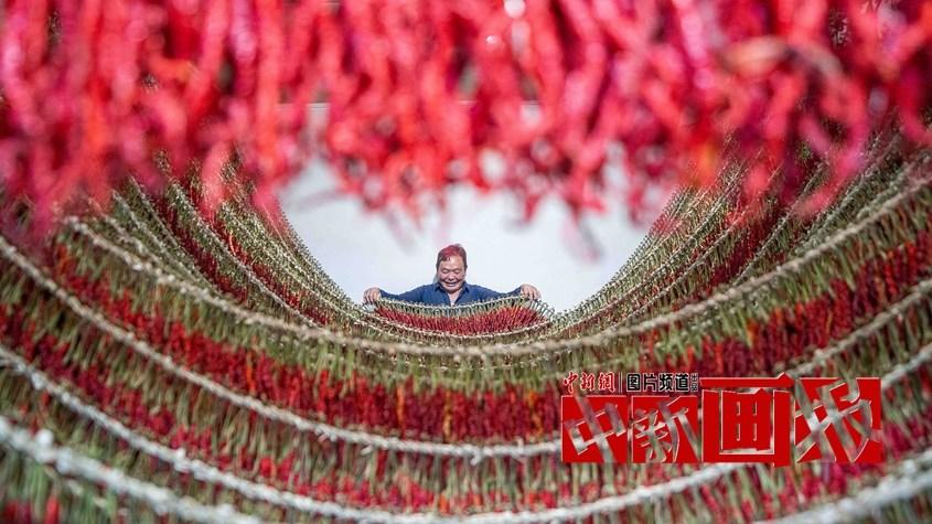 曬秋時間到！遍地斑斕好“豐”景