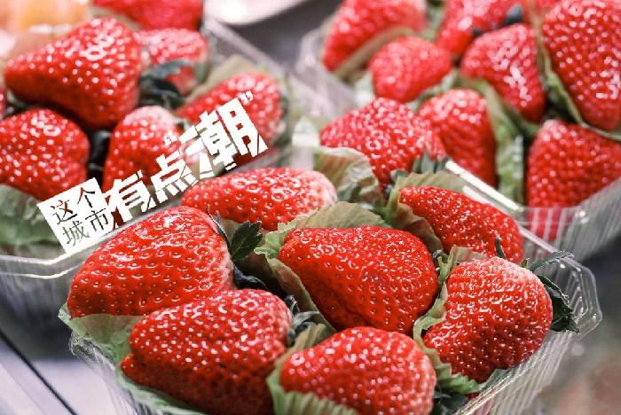 丹東：這一口鮮甜，開啟冬日“莓”好時光