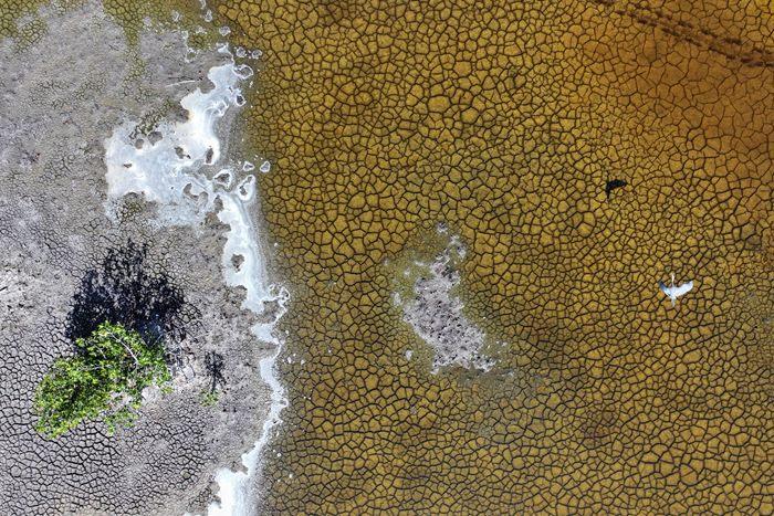 美國佛州缺少降雨導致大面積土地龜裂
