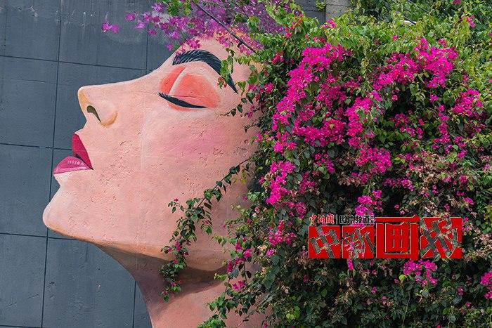 “花季少女”生命力滿滿