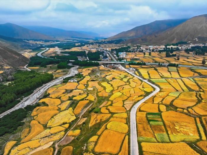 立秋時節高原青海“豐景”初現