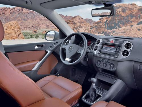 今年沒戲 上海大眾Tiguan中文名不叫途歡