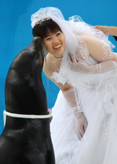 �M�D��һ��(du��)�׺��������˳䮔(d��ng)���ɰ���