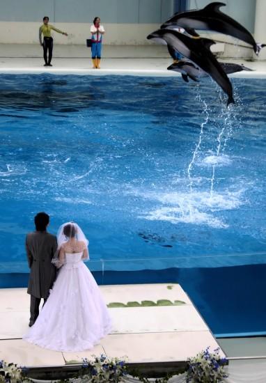 �M�D��һ��(du��)�׺��������˳䮔(d��ng)���ɰ���