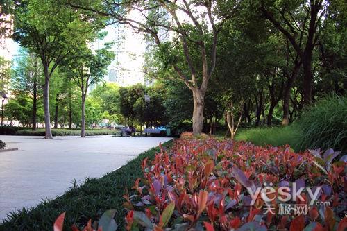 ����߀��Ϧꖼt ʮһ�����������C�xُ���]