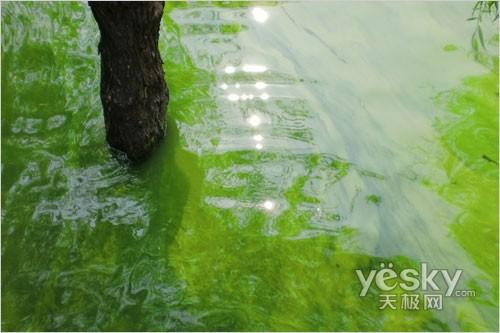 ̫��С��ƽ����� �����L(zh��ng)����(sh��)�a���C(j��)���]