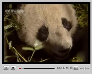 �c���^��ҕ�l