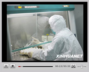 �c���^��ҕ�l