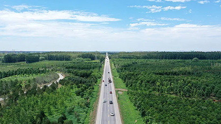 只此青綠，中國“雙碳”雄心背后的山河夢 