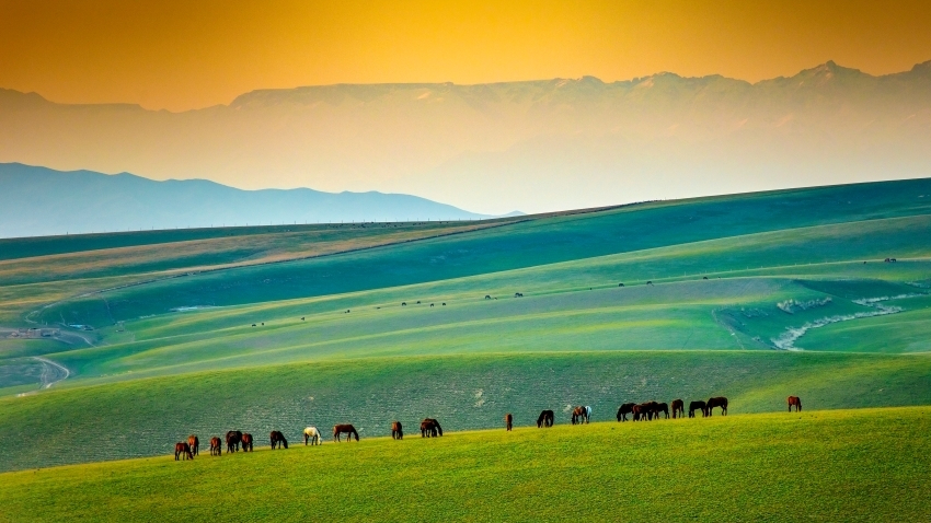 走進“天”邊的畫卷 共赴大美新疆